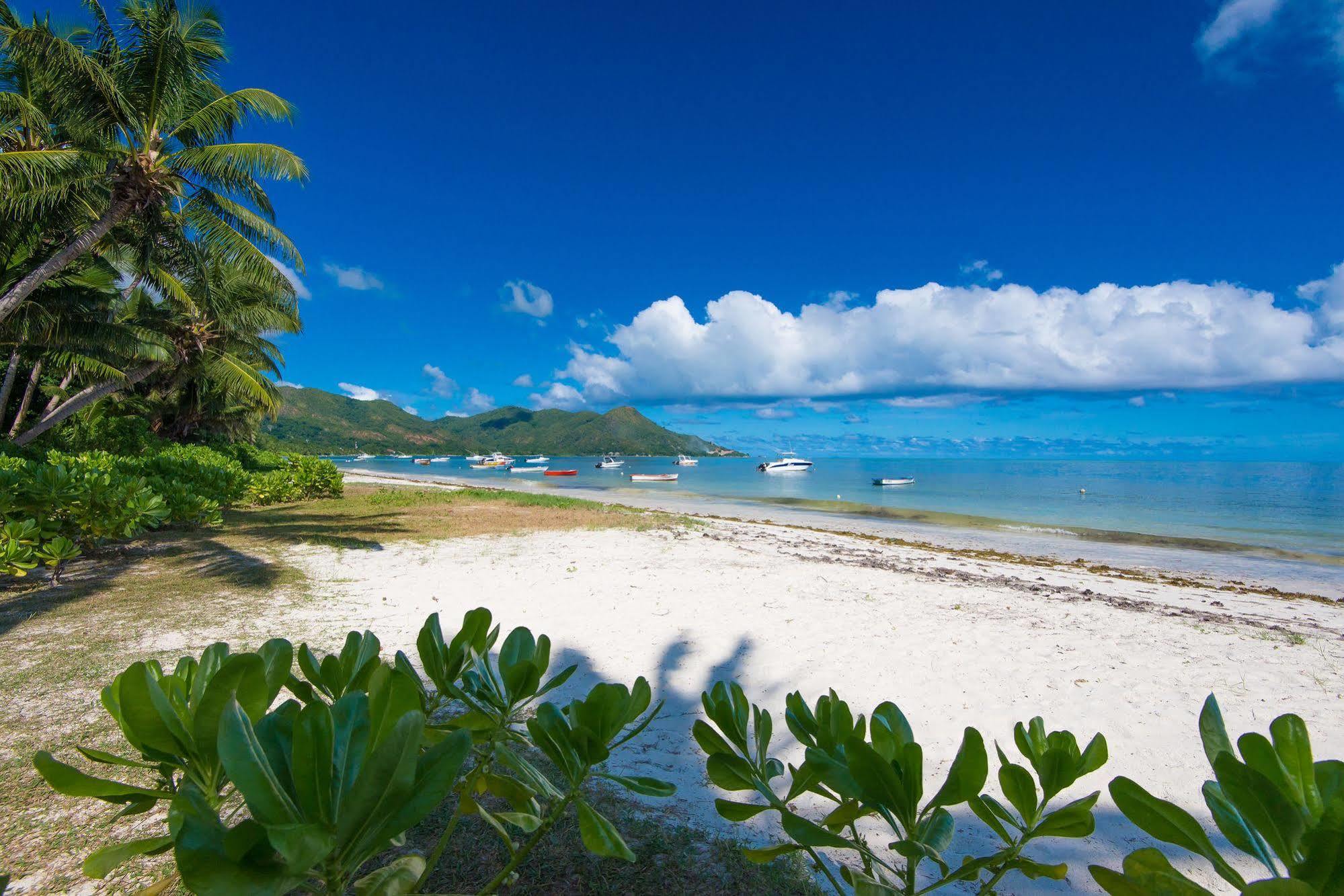 Le Tropique Villa Grand Anse  Luaran gambar